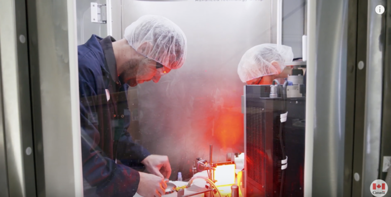 Global Skills Strategy: A Game-Changer for Employers in Canada